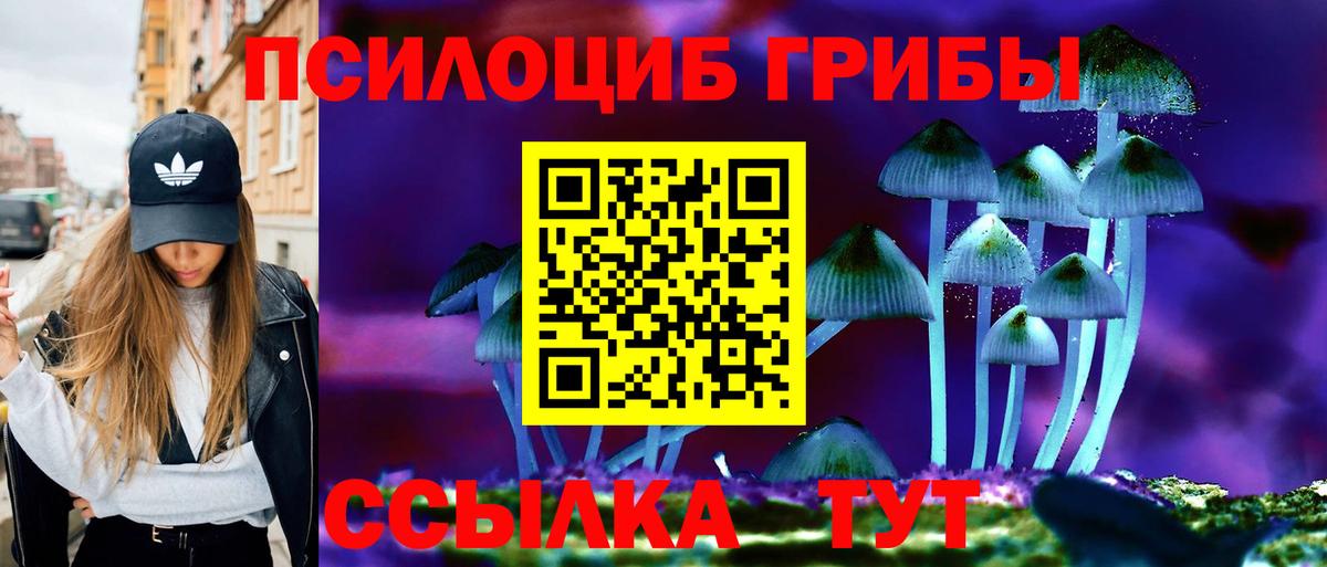 Шали  Псилоцибиновые грибы GOLDEN TEACHER  Вход с VPN 